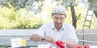 Как правильно готовить рассаду Как правильно готовить рассаду