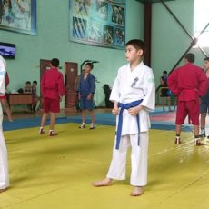 День открытых дверей в школе восточных единоборств