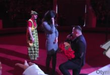 Житель Шымкента сделал предложение руки и сердца под куполом цирка