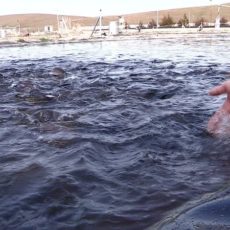 Штраф за купание в запрещенных местах
