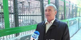 Шымкентские зоологи опровергают предсказания верблюда и медведей
