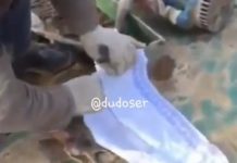 По факту обнаружения тела недоношенного ребенка возбуждено уголовное дело