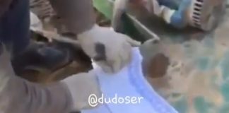 По факту обнаружения тела недоношенного ребенка возбуждено уголовное дело