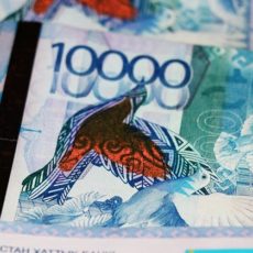 До 469,3 млрд тенге увеличился объем частных инвестиции в Туркестанской области