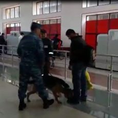 Служебная собака обнаружила в обуви гражданина Узбекистана наркотики
