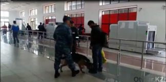 Служебная собака обнаружила в обуви гражданина Узбекистана наркотики