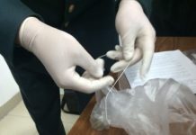 Гашиш изъяли у иностранца на границе в Туркестанской области