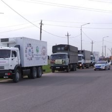 Из Шымкента в Актобе отправился караван продуктов и овощей