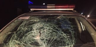В ДВД ЮКО прокомментировали наезд на пешехода полицейским автомобилем