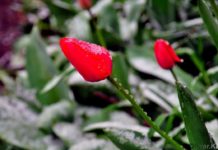 Какой погода будет в марте рассказали синоптики