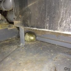 Два свертка «марихуаны» нашли сарыагашские пограничники в поезде