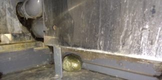 Два свертка «марихуаны» нашли сарыагашские пограничники в поезде