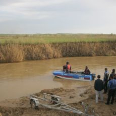 В Сарыагашском районе утонул четырехлетний ребенок