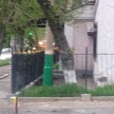 Главврач городской поликлиники хочет забрать у жителей дома территорию