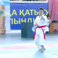 В Шымкенте прошел чемпионат РК по карате-до