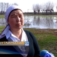Жители одного из сел ЮКО оказались в непростой ситуации