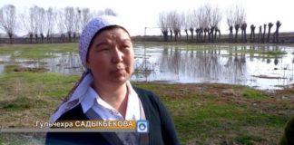 Жители одного из сел ЮКО оказались в непростой ситуации