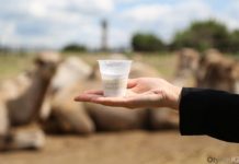 В Сузакском районе планируют открыть спецкооператив