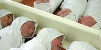 107 девочек родились в ЮКО 8 марта роддом, новорожденные