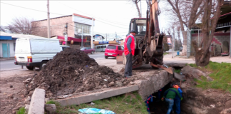 В Шымкенте началась чистка каналов и ирригационной системы