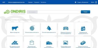 Первый бизнес-портал создают для предпринимателей в ЮКО