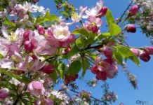 Дед с подарками, камни для еды и крашеные яйца. 7 интересных фактов о празднике Наурыз