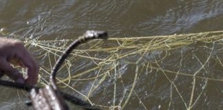 Полтора миллиона тенге заплатят в казну браконьеры ЮКО