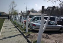 В Шымкенте праздник весны не для деревьев