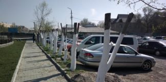 В Шымкенте праздник весны не для деревьев