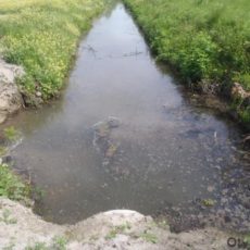 За 9 дней весны в ЮКО утонули 5 детей