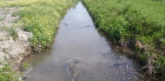 За 9 дней весны в ЮКО утонули 5 детей