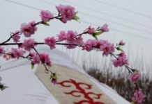 Прогноз погоды в Шымкенте на предстоящую неделю