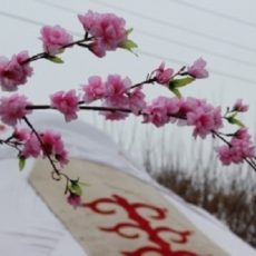 Прогноз погоды в Шымкенте на предстоящую неделю