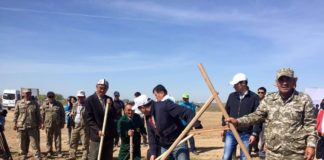 25 тысяч плодовых деревьев посадили в ЮКО