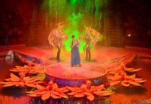 Программу к Наурызу в Шымкенте совместно провели цирк, театр и библиотека