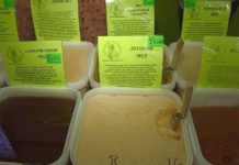 Новые сорта меда привезли в Шымкент