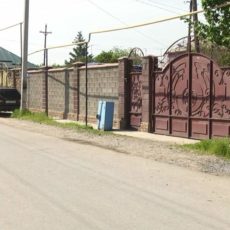 В Шымкенте собака насмерть загрызла женщину