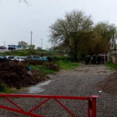 Жизнь рядом с «народной целительницей»