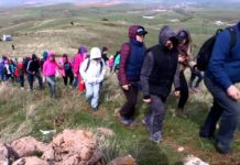 Способен ли покорить вершину Казыгурта бегом среднестатистический житель мегаполиса