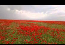 ТОП-10 мест для отдыха в ЮКО и Шымкенте