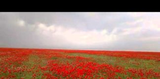 ТОП-10 мест для отдыха в ЮКО и Шымкенте