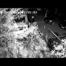 Два возможных налетчика на автомобили попали в объектив камеры видеонаблюдения