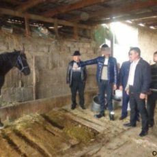 В Мактаарале задержаны скотокрады В Мактаарале задержаны скотокрады