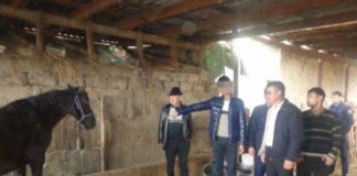 В Мактаарале задержаны скотокрады В Мактаарале задержаны скотокрады