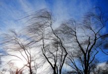 Ветер разрушил фасад многоэтажного дома в микрорайоне Туран Штормовой ветер в ЮКО