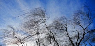 Штормовое предупреждение от синоптиков Штормовой ветер в ЮКО