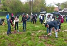 В Шымкенте «Хранители рек» сажают на Кошкарате сады