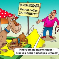 Где выгуливать собак в Шымкенте?