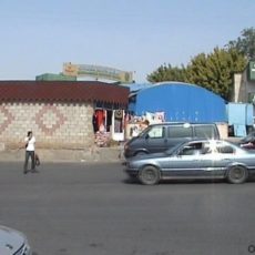 Власти Шымкента обещают научить пешеходов переходить дорогу правильно