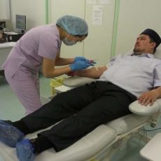 Имамы Шымкента не пожалели крови